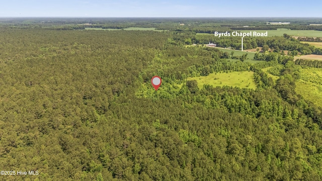 238 Byrds Chapel Rd, Rose Hill, NC 28458
