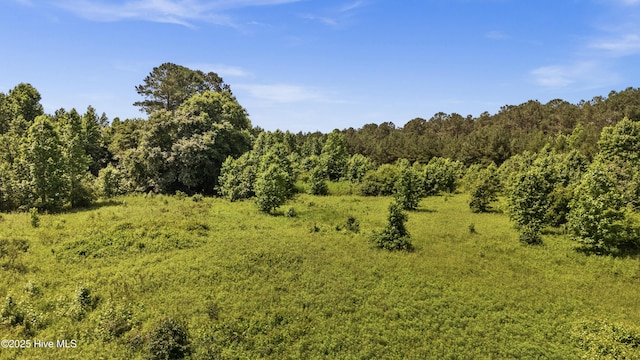238 Byrds Chapel Rd, Rose Hill, NC 28458