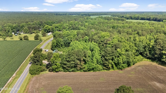 238 Byrds Chapel Rd, Rose Hill, NC 28458