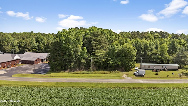238 Byrds Chapel Rd, Rose Hill, NC 28458
