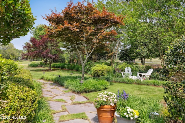 8300 Fazio Dr, Wilmington, NC 28411 - view of grassy yard featuring view of scattered trees