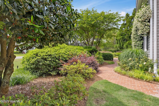 8300 Fazio Dr, Wilmington, NC 28411 - view of yard
