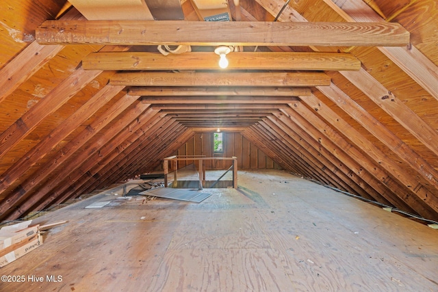 1510 Lucerne Way, New Bern, NC 28560 - view of unfinished attic