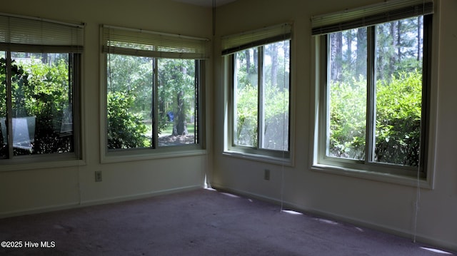 1819 Caracara Dr, New Bern, NC 28560 - unfurnished sunroom with plenty of natural light, carpet flooring, and baseboards