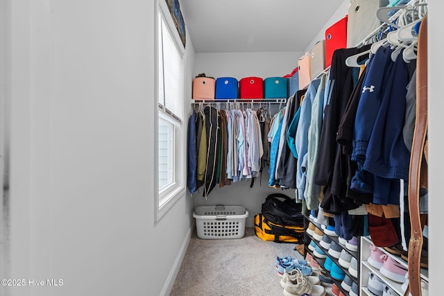 210 N Stingray Ln, Sneads Ferry, NC 28460 - spacious closet with carpet
