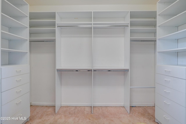 7120 Orchard Trce, Wilmington, NC 28409 - view of walk in closet