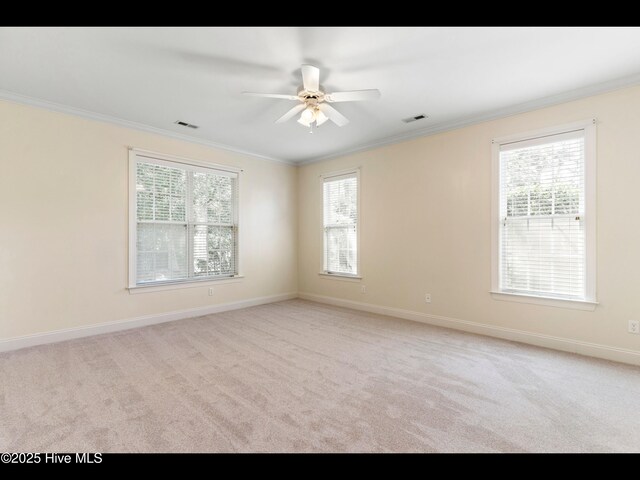 822 Lambrook Dr, Wilmington, NC 28411 - spare room featuring ornamental molding, a ceiling fan, carpet floors, plenty of natural light, and baseboards