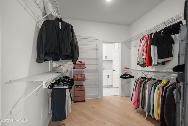 3625 Mason Port Dr, Wilmington, NC 28409 - walk in closet featuring light wood finished floors