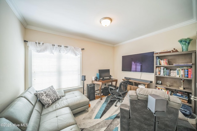 6428 Salem Ridge Dr, Grifton, NC 28530 - living room featuring ornamental molding