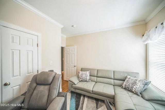 6428 Salem Ridge Dr, Grifton, NC 28530 - living room with wood finished floors and crown molding