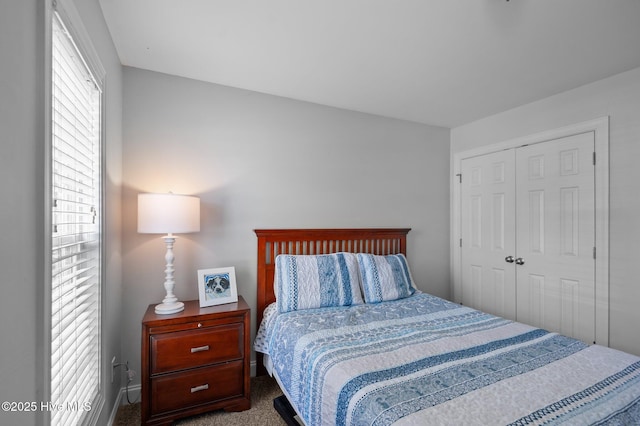 905 Sebring Dr, Winterville, NC 28590 - bedroom with a closet and carpet flooring