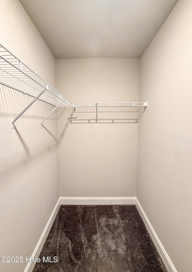 126 Vick Ave, Carthage, NC 28327 - spacious closet with carpet floors