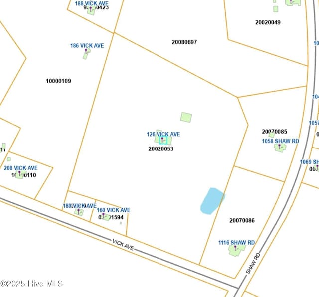 126 Vick Ave, Carthage, NC 28327 - map of parcels