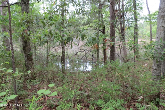 117 Shoreline Ct Unit 33, Oriental, NC 28571