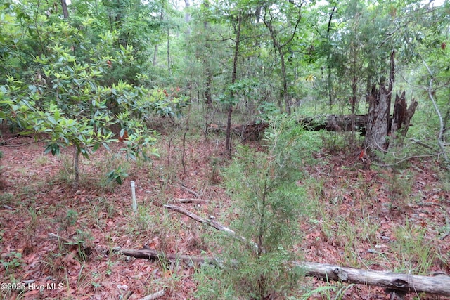 117 Shoreline Ct Unit 33, Oriental, NC 28571