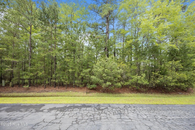 117 Shoreline Ct Unit 33, Oriental, NC 28571