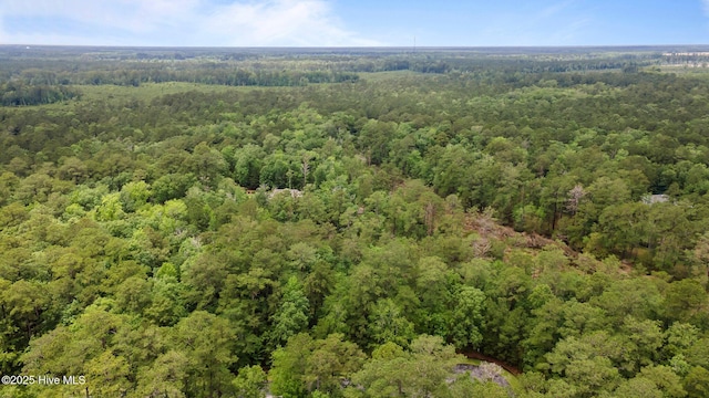 117 Shoreline Ct Unit 33, Oriental, NC 28571