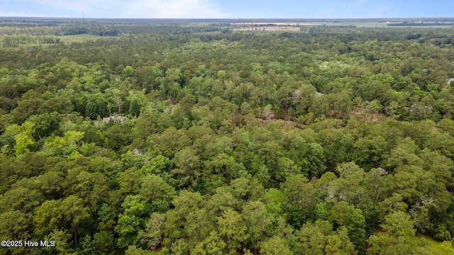 117 Shoreline Ct Unit 33, Oriental, NC 28571