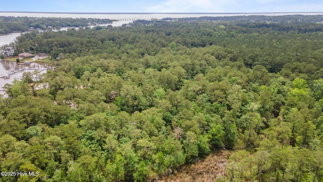 117 Shoreline Ct Unit 33, Oriental, NC 28571
