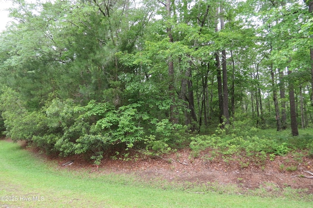 117 Shoreline Ct Unit 33, Oriental, NC 28571