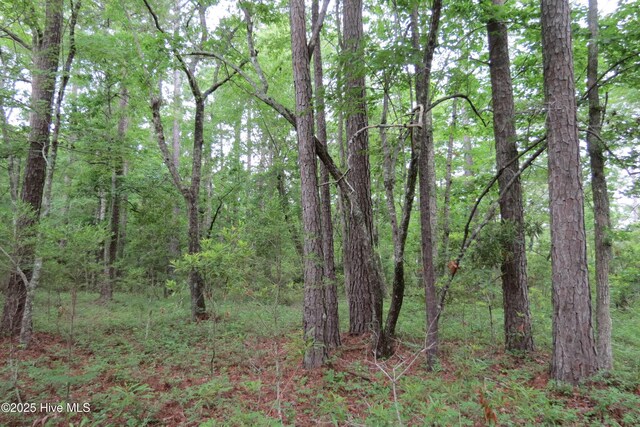117 Shoreline Ct Unit 33, Oriental, NC 28571