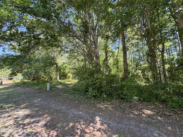 2213 Forest Dr SW, Supply, NC 28462