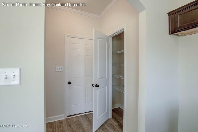 129 Tides End Dr Lot 34, Holly Ridge, NC 28445 - view of closet