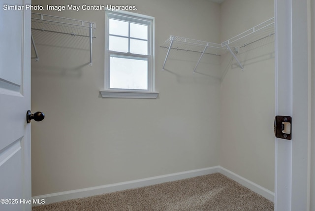 129 Tides End Dr Lot 34, Holly Ridge, NC 28445 - spacious closet featuring carpet floors