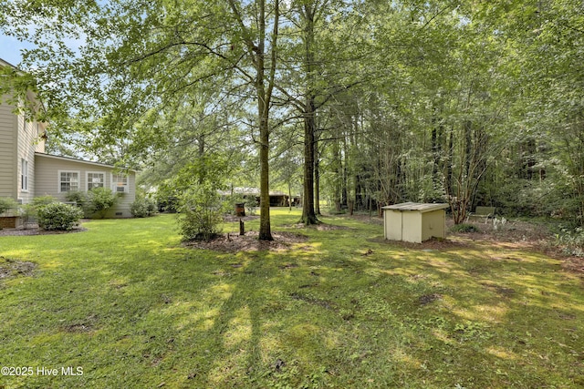 353 Old Savannah Rd, Burgaw, NC 28425 - view of grassy yard