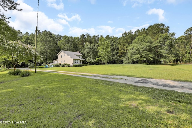 353 Old Savannah Rd, Burgaw, NC 28425 - view of green lawn featuring a view of trees