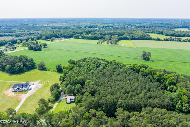 353 Old Savannah Rd, Burgaw, NC 28425 - view of rural area