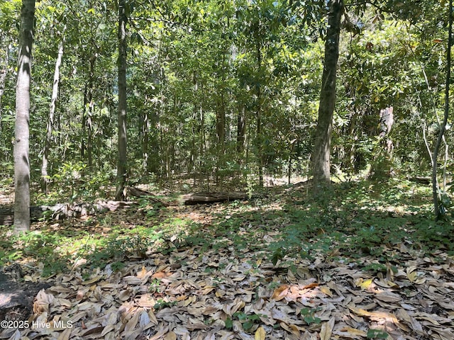308 Hooker Rd, Wilmington, NC 28403 - view of wooded area