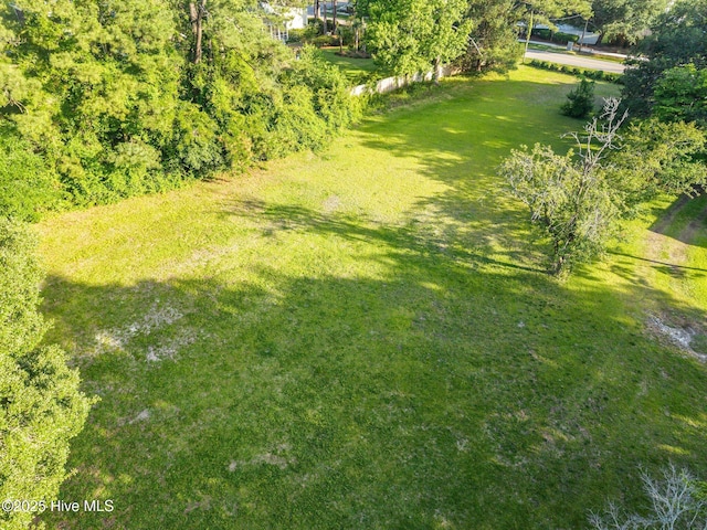 308 Hooker Rd, Wilmington, NC 28403 - view of grassy yard