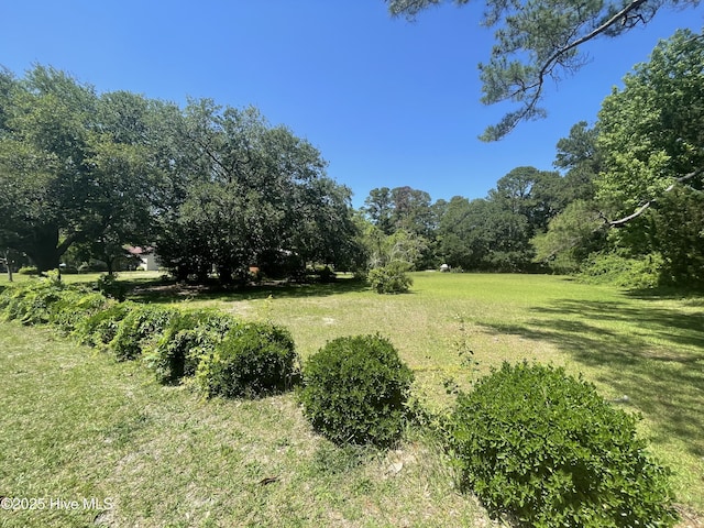 308 Hooker Rd, Wilmington, NC 28403 - view of green lawn