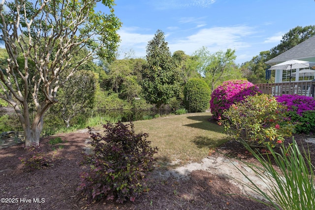 4156 Buckingham Ct, Southport, NC 28461 - view of green lawn with a deck