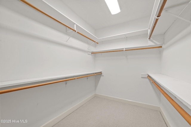 809 Greenbriar Rd, Kinston, NC 28501 - walk in closet featuring light carpet