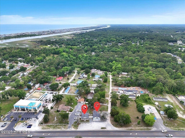 3331 Holden Beach Rd SW, Supply, NC 28462 - drone / aerial view of a large body of water and a heavily wooded area