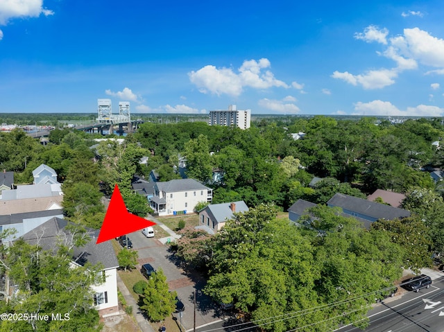 700 S 3rd St, Wilmington, NC 28401 - bird's eye view of a notable bridge and a tree filled landscape
