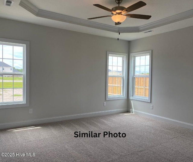 635 Indigo Johnston Dr, Jacksonville, NC 28546 - spare room featuring ornamental molding, a tray ceiling, healthy amount of natural light, carpet flooring, and baseboards