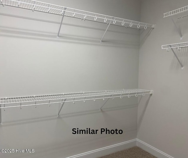 635 Indigo Johnston Dr, Jacksonville, NC 28546 - view of walk in closet