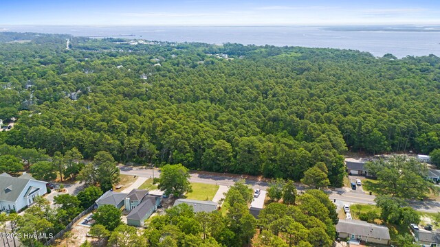 1015 E Moore St, Southport, NC 28461 - view of property location with a heavily wooded area and a large body of water