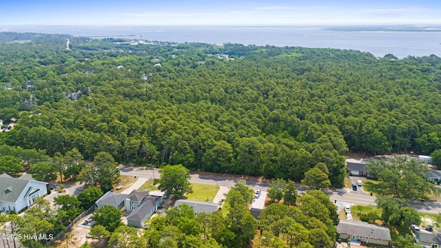 1015 E Moore St, Southport, NC 28461 - aerial view of residential area featuring a heavily wooded area
