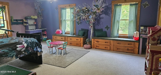 520 Holly Ridge Rd, Holly Ridge, NC 28445 - view of carpeted bedroom
