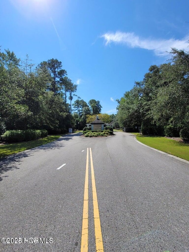 8241 Sage Valley Dr, Wilmington, NC 28411 - view of asphalt road
