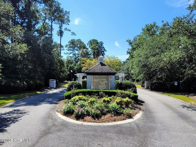 8241 Sage Valley Dr, Wilmington, NC 28411 - view of road