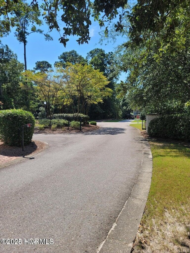8241 Sage Valley Dr, Wilmington, NC 28411 - view of asphalt street