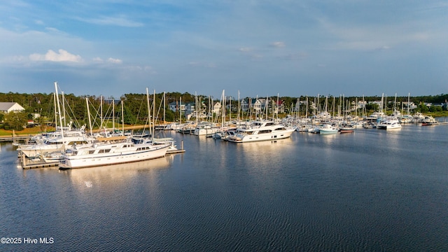 588 E Harborside Rd, Oriental, NC 28571 - water view featuring a boat dock and a marina