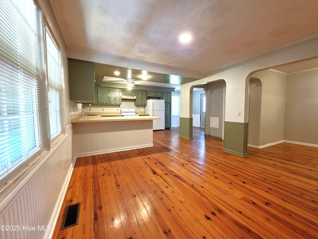 1700 Green Springs Rd, New Bern, NC 28560 - unfurnished living room featuring ornamental molding, hardwood / wood-style floors, arched walkways, a sink, and a ceiling fan