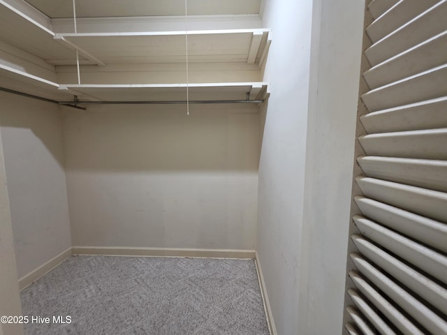1700 Green Springs Rd, New Bern, NC 28560 - spacious closet featuring carpet flooring