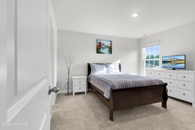 119 Perrytown Loop Rd, New Bern, NC 28562 - bedroom with light carpet